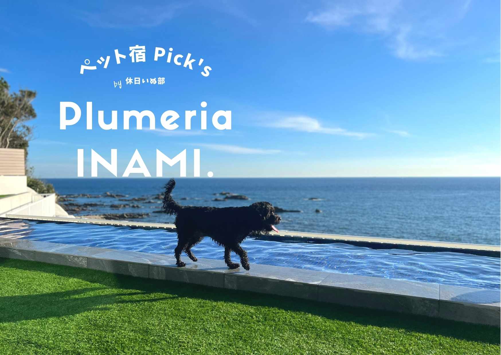 和歌山】愛犬と絶景ロケーションで過ごすヴィラ体験！Plumeria INAMI