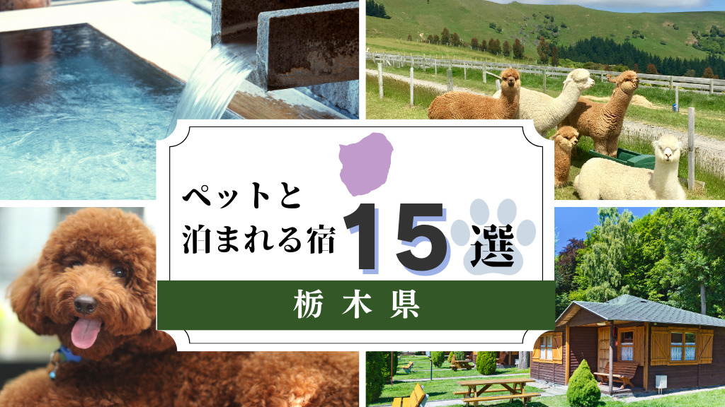 【最新版】栃木県のペットと泊まれる宿おススメ15選！自然や温泉を愛犬と楽しめる人気のおでかけエリア