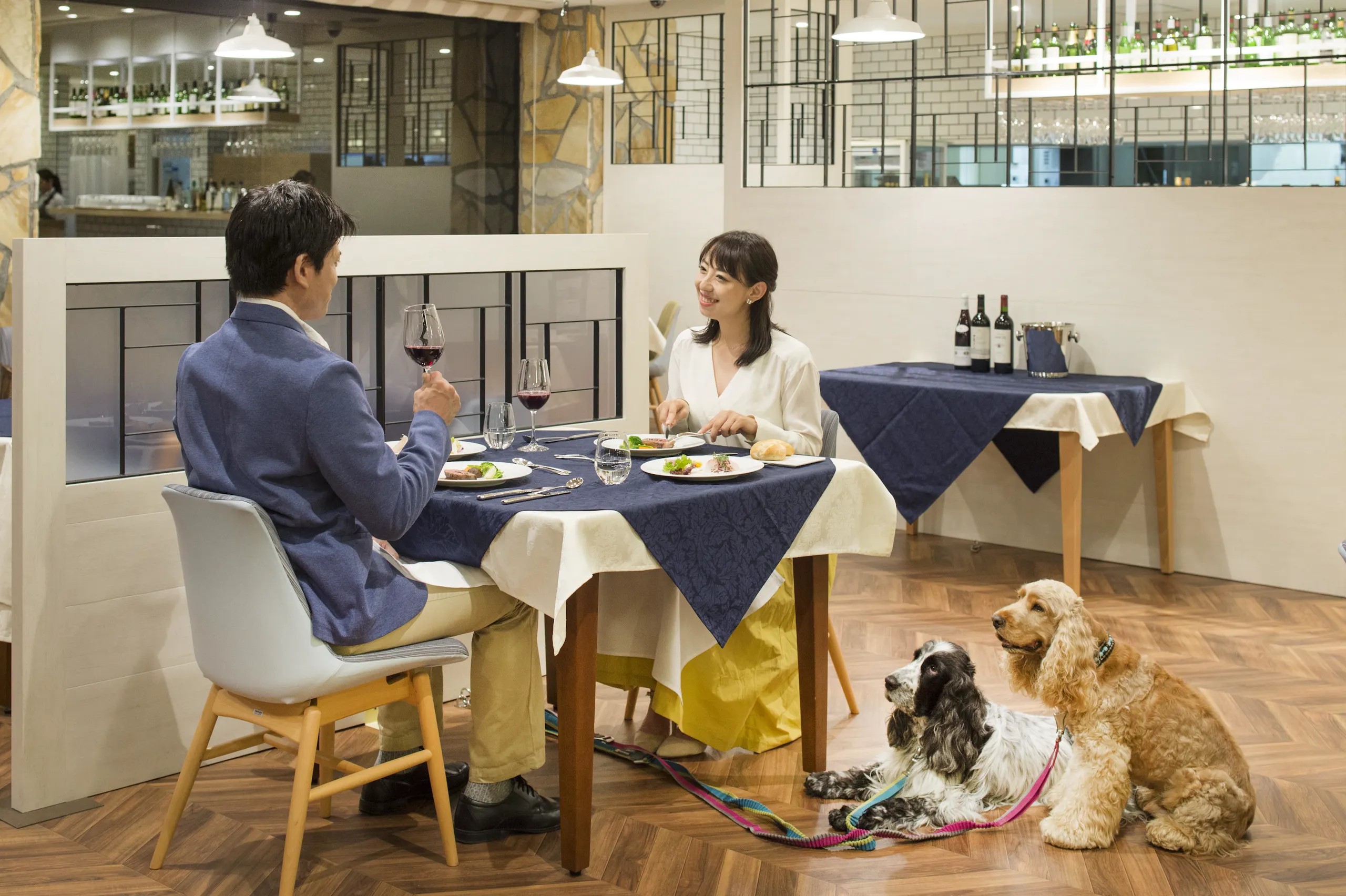 【地元食材使用の特別な食体験を愛犬と】