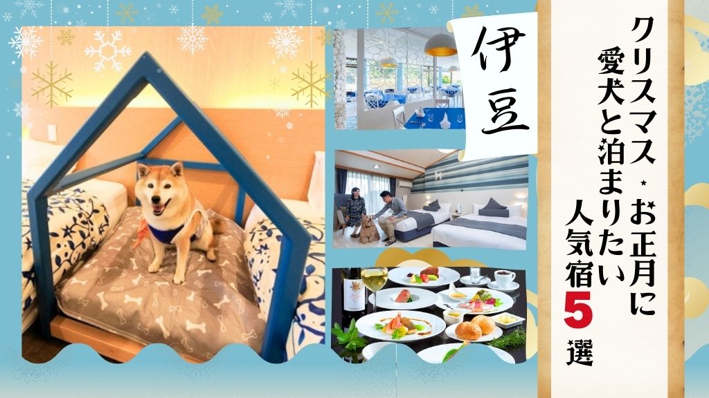 クリスマス・お正月を愛犬と過ごしたい！ペットと泊まれる伊豆の人気宿5選～お客様の声もあわせてご紹介！～