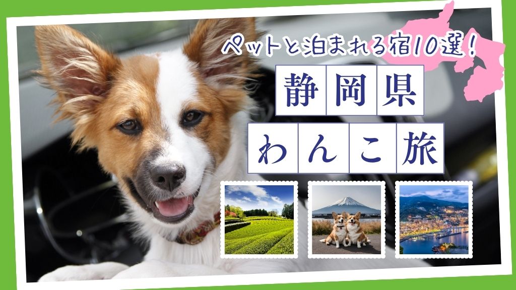 【最新版】愛犬と旅行を楽しもう♪静岡県のペットと泊まれる宿10選