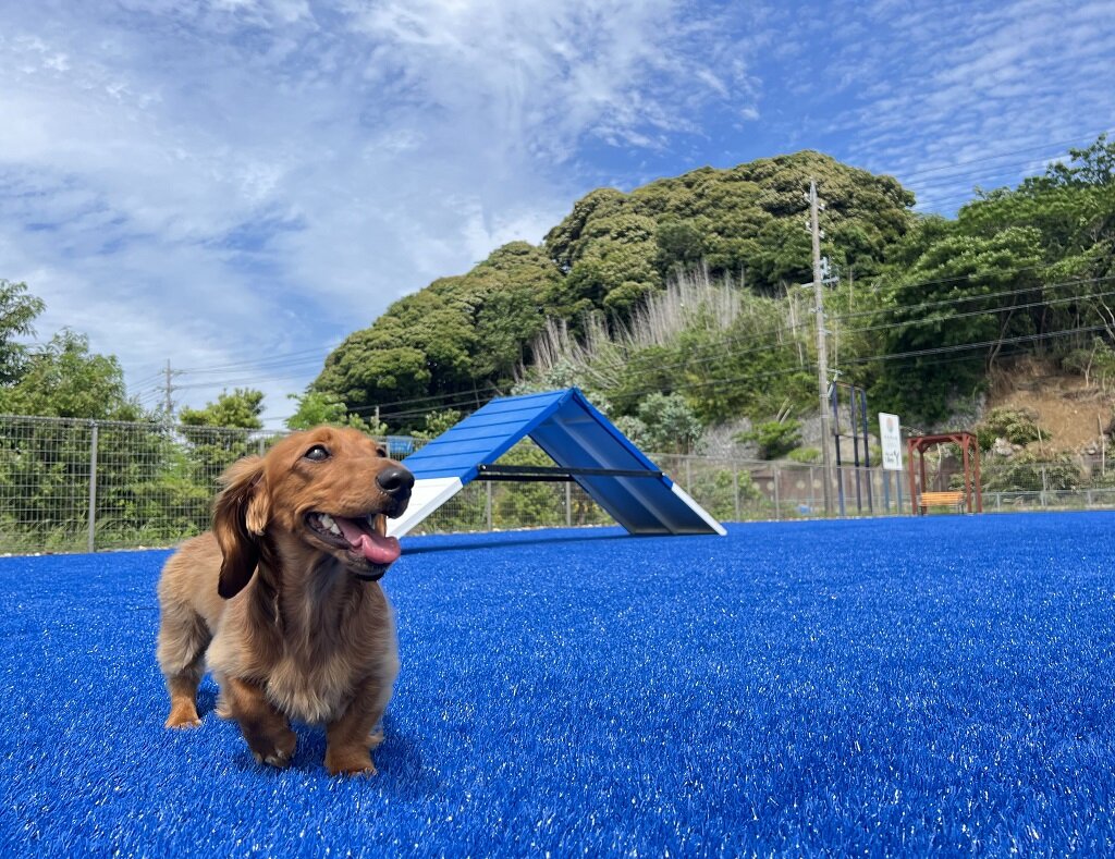 浜名湖わんわんパラダイスホテル