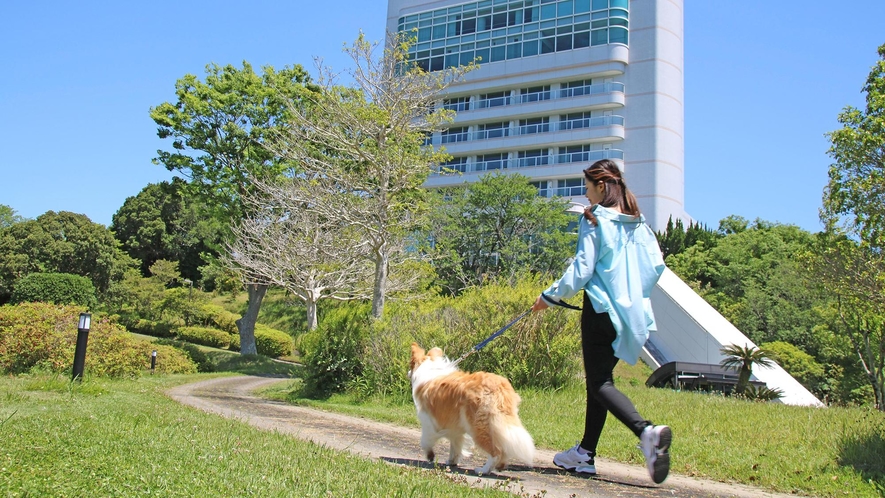 滞在中愛犬と一緒に過ごす幸せな時間